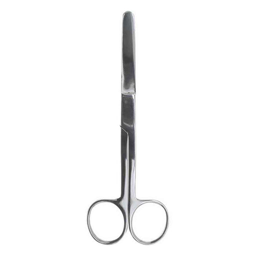5 1/2 inch Straight Blunt/Blunt Scissors - widgetsupply.com